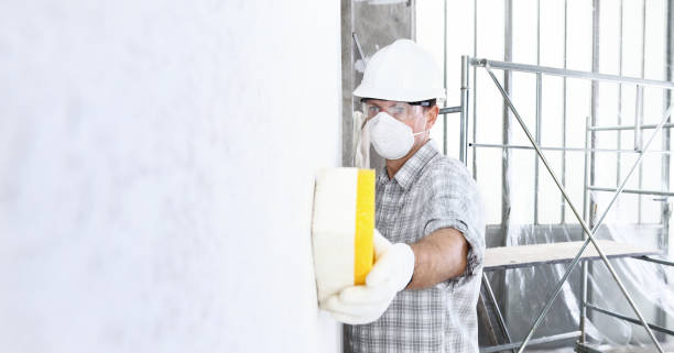 Professional Mold Removal in Sandy Oaks, TX